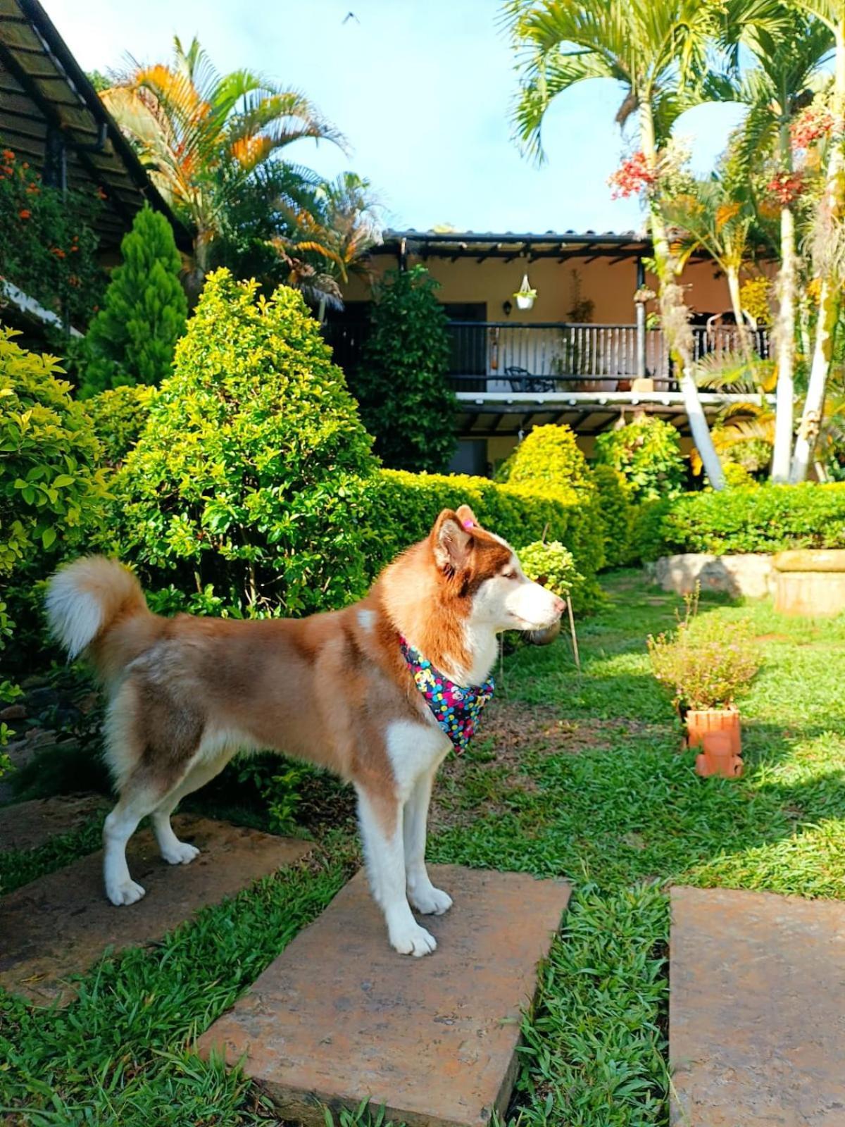 Hotel Campestre Casona Del Camino Real San Gil Dış mekan fotoğraf